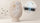 How Activated Carbon Filters Manage Gas and Odor in Ostomy Pouches