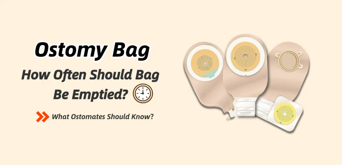 How Often Should an Ostomy Bag Be Emptied?