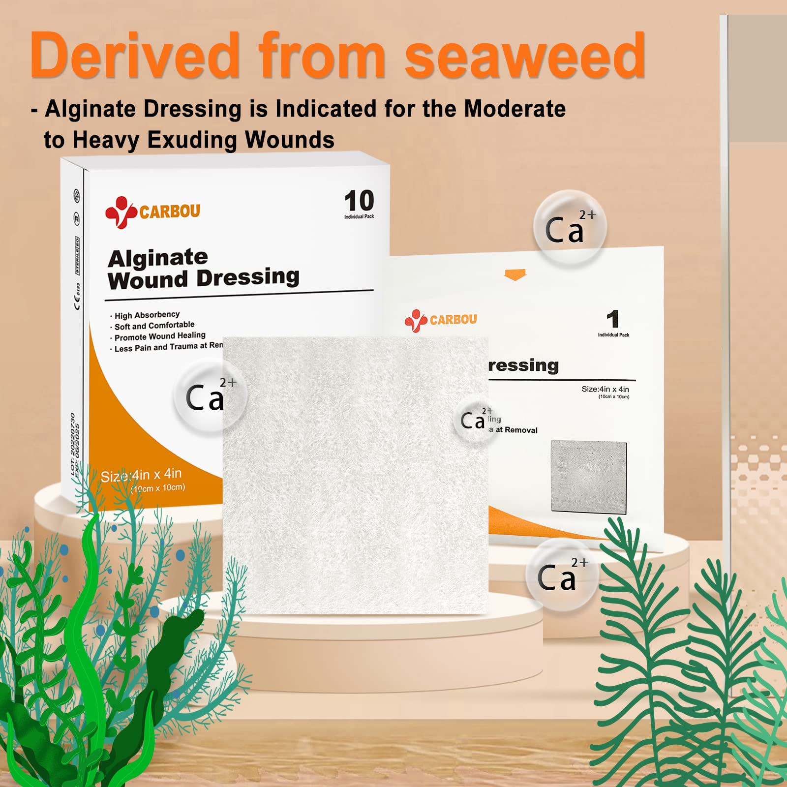 Alginate wound dressing is derived from seaweed