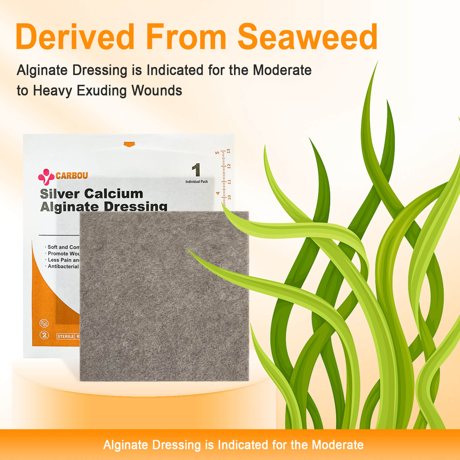 Silver calcium alginate dressing derived from seaweed