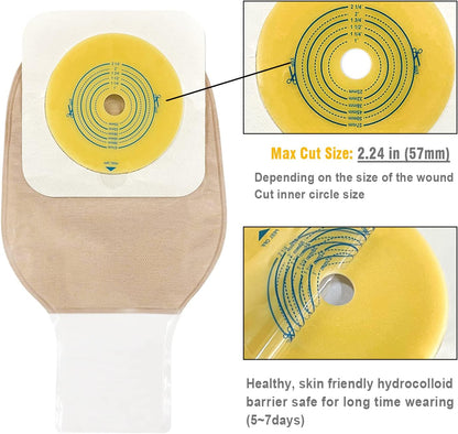 Hydrocolloid baseplate showing material texture and maximum cutting size